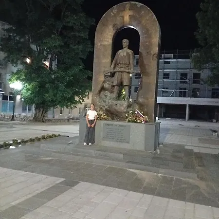 Daire Pansion ,, Vidovdan ,, *