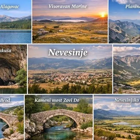 Pansion ,, Vidovdan ,, * Nevesinje