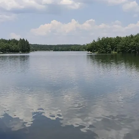 Daire Pansion ,, Vidovdan ,,