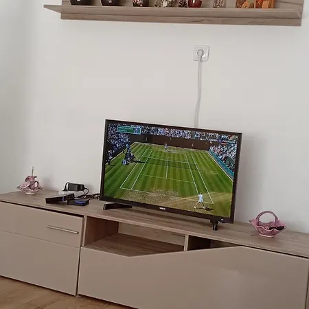 Daire Stan Na Dan ,, Vidovdan ,, Nevesinje