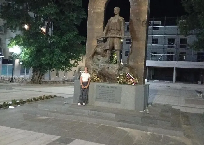 Daire Pansion ,, Vidovdan ,, *