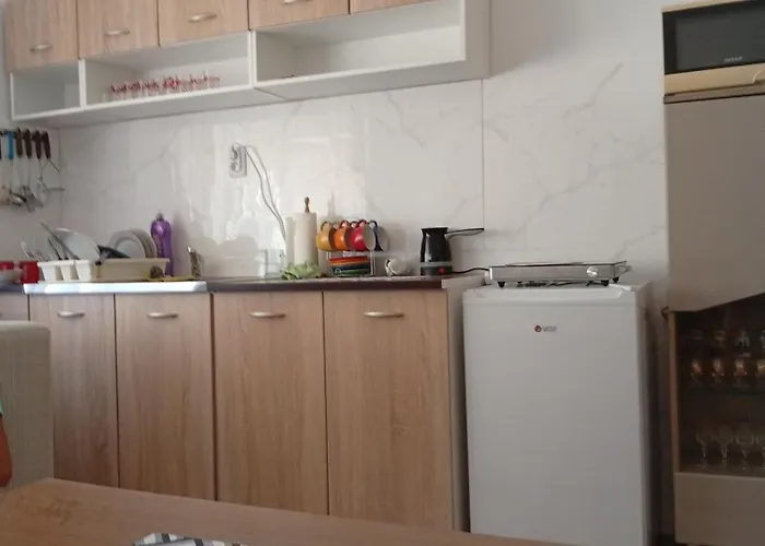 Daire Pansion ,, Vidovdan ,,