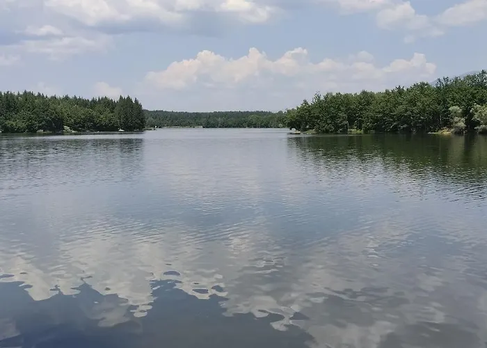 Daire Pansion ,, Vidovdan ,,